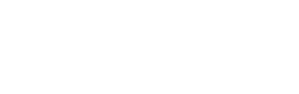 Bally Bet